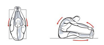 Упражнение продольная складка Упражнение продольная складка